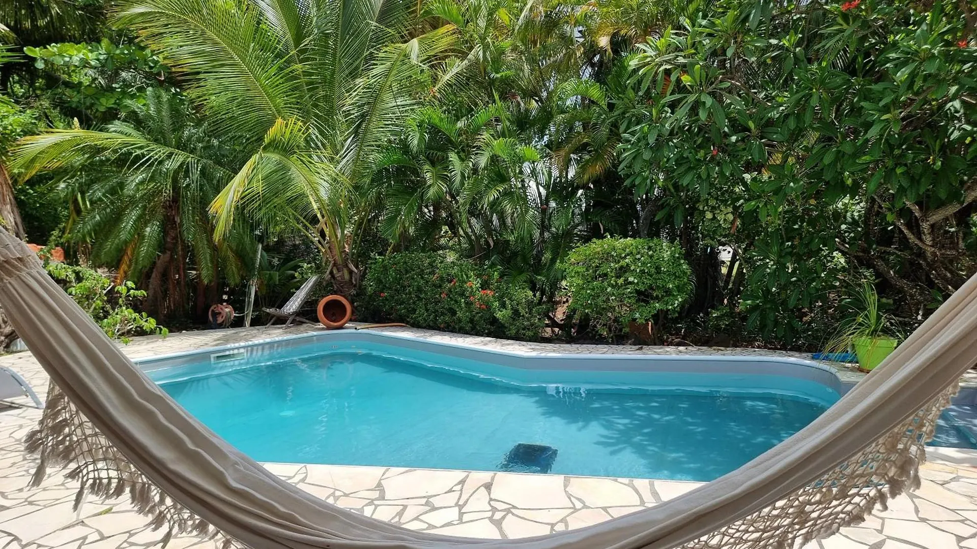 Maison Creole De Charme Avec Piscine Privee Et Ecrin Tropical Le François Vila